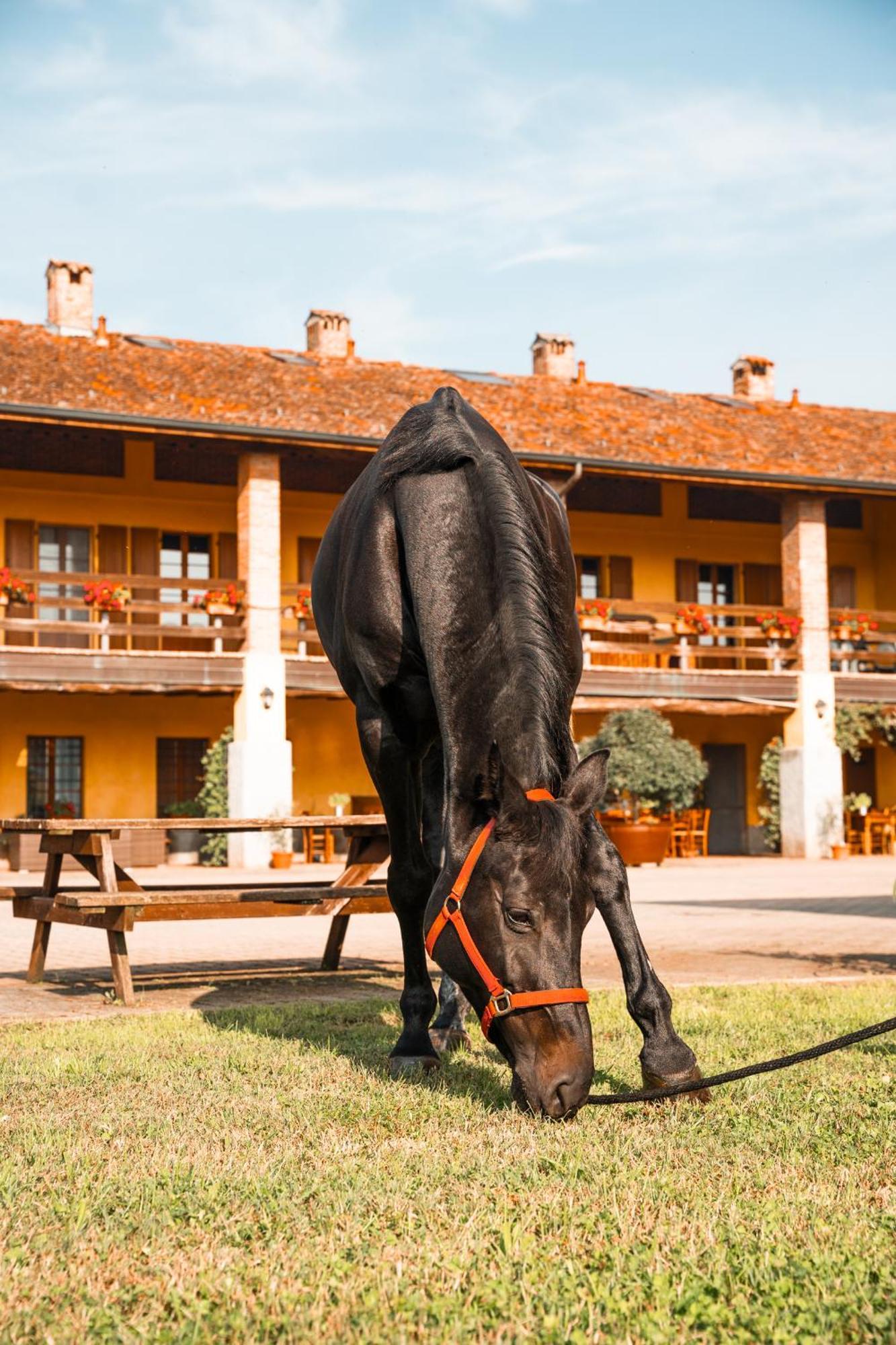 Agriturismo Bassanella Тревильо Екстериор снимка